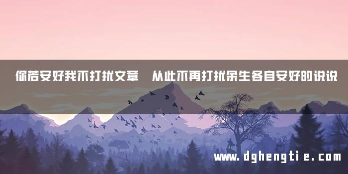 你若安好我不打扰文章 从此不再打扰余生各自安好的说说